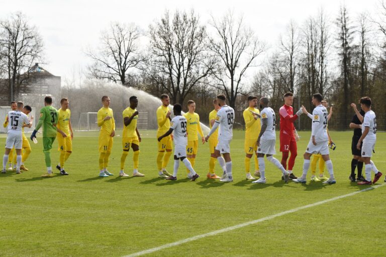 Stopostotni učinak u prijateljskim susretima