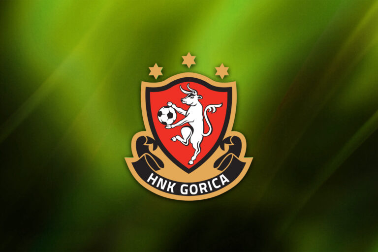 Objava godišnjih financijskih izvještaja za 2024.