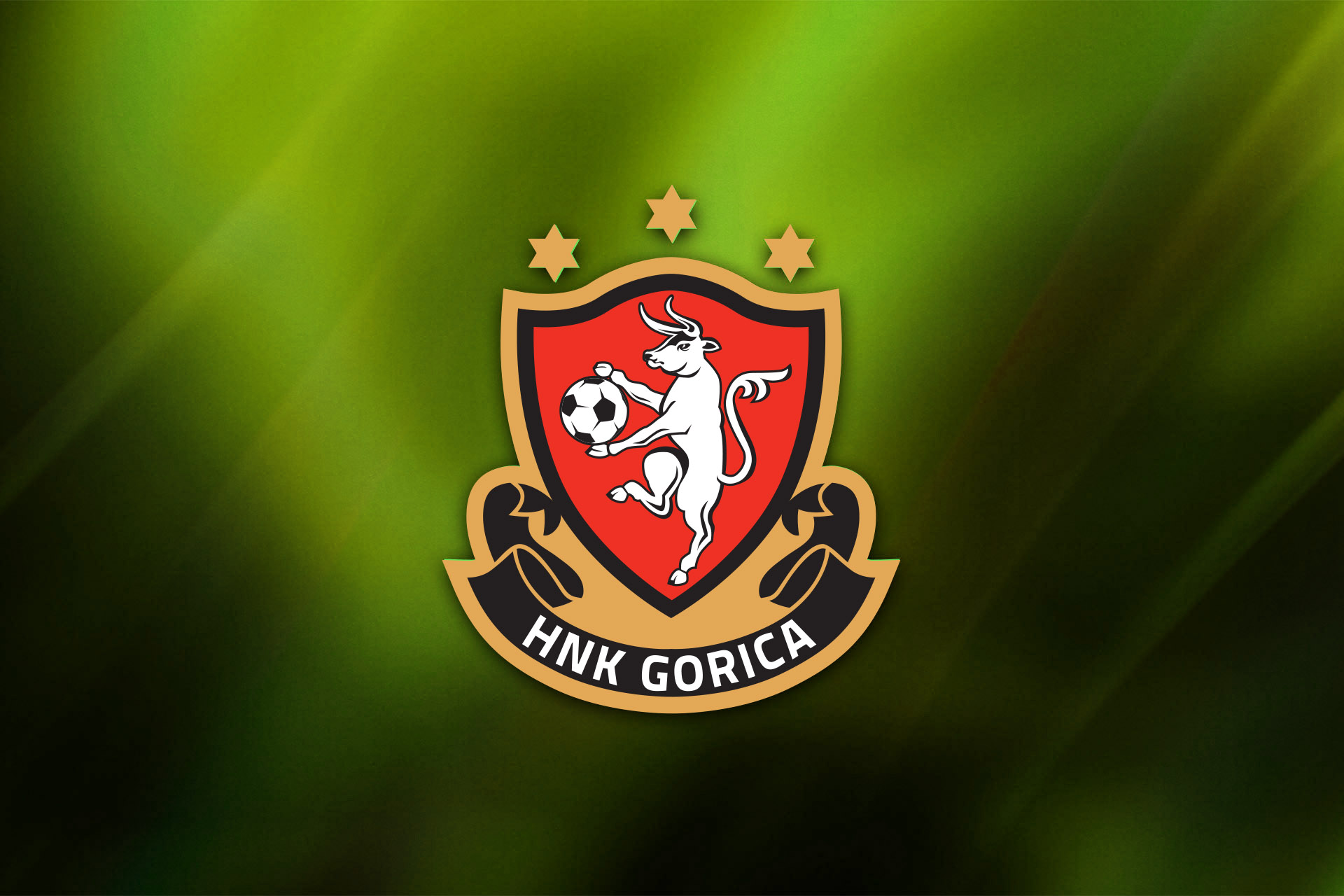 Objava godišnjih financijskih izvještaja za 2024.