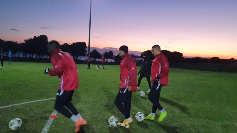 Crtice iz Medulina: Proljeće usred zime