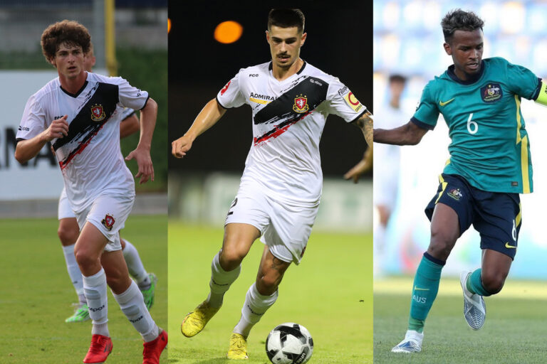 Reprezentativni pozivi Skrbinu